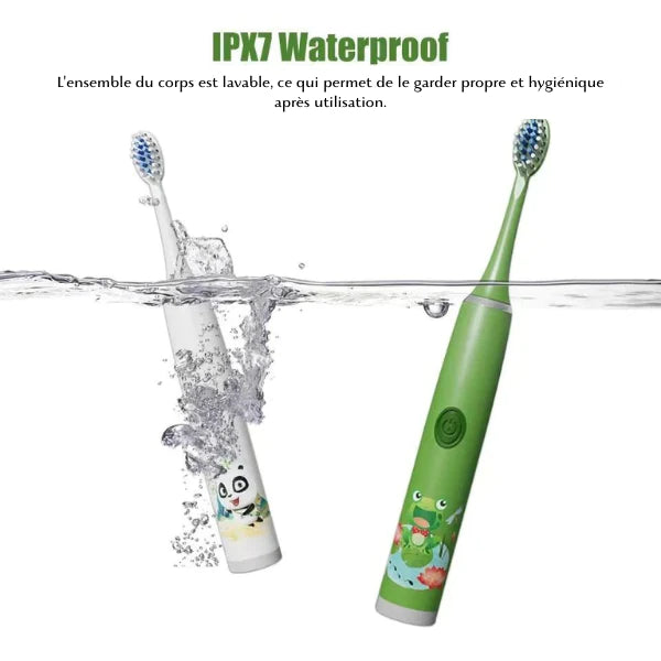 Brosse à dents électrique | 6 Tetes de Brosse Gratuite