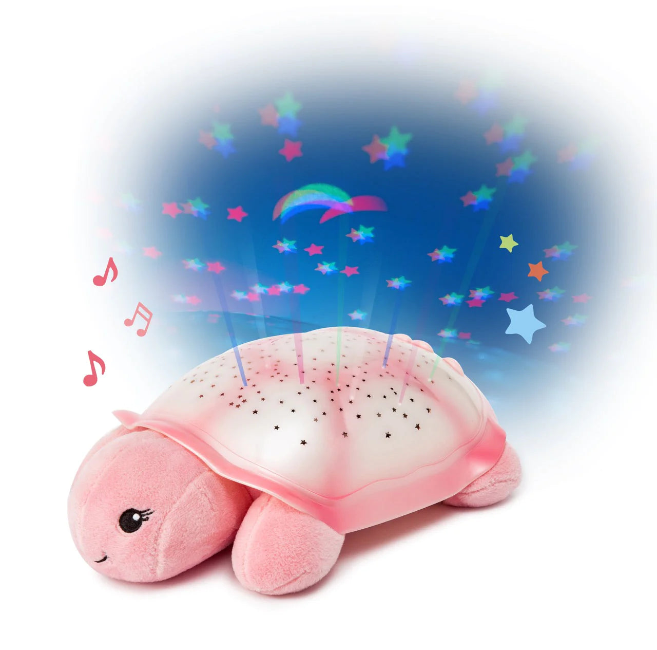 Tortue Lumières LED
