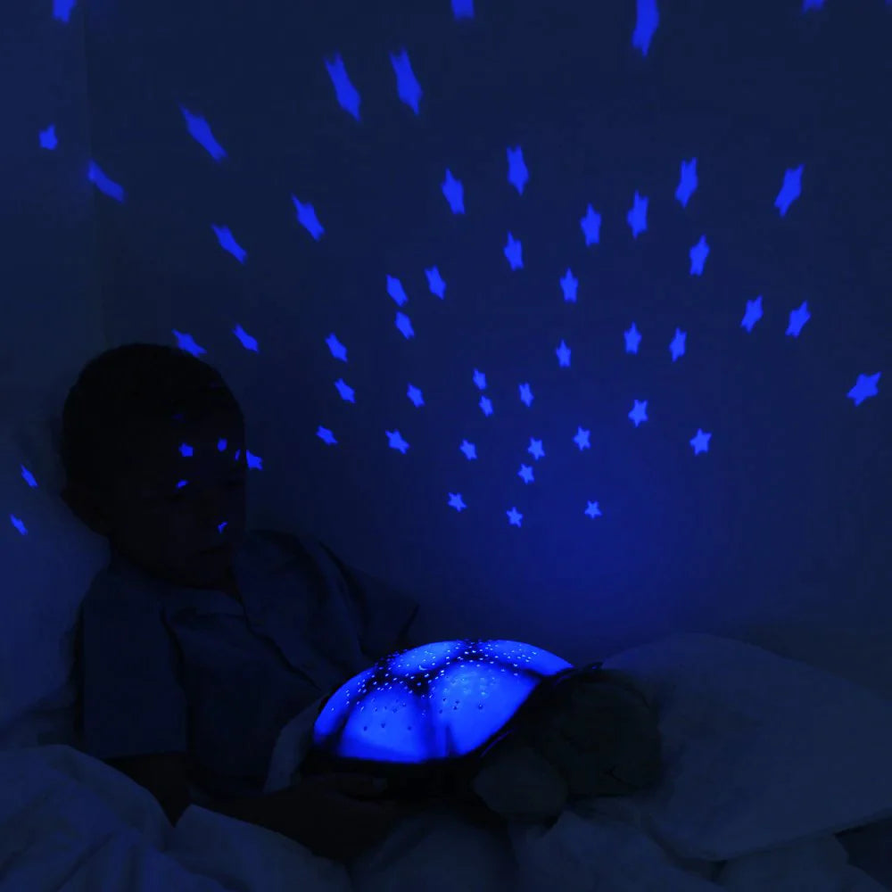 Turtle Veilleuse LED