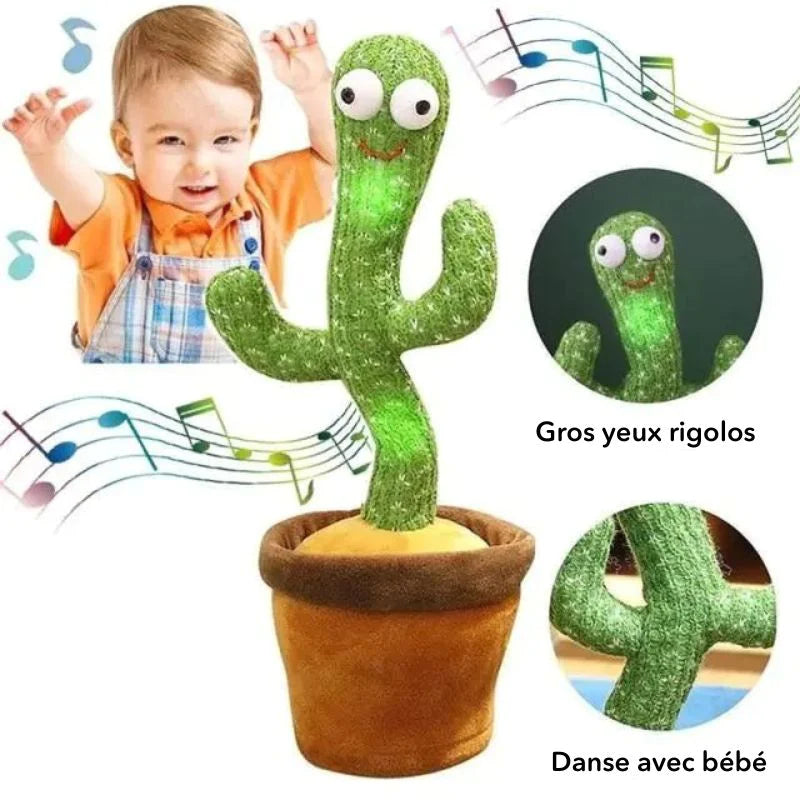 Cactus dansant