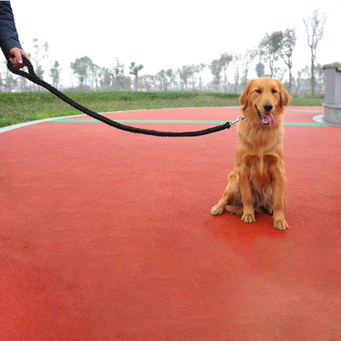Laisse En Nylon Pour Chien