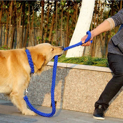 Laisse En Nylon Pour Chien
