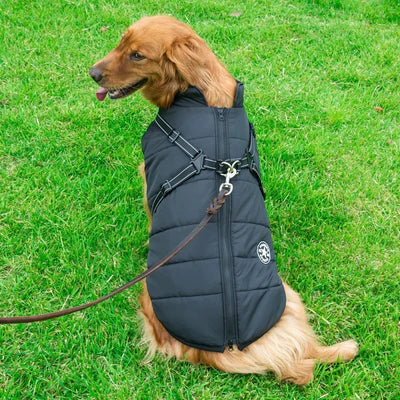 MANTEAU POUR CHIEN + Cadeaux Gratuit+ Ceinture de Sécurité