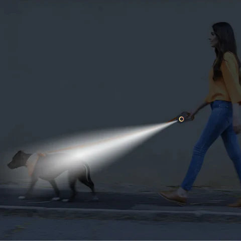 LAISSE RĂTRACTABLE AUTOMATIQUE 5M, POUR CHIEN, LED LUMINEUSE.