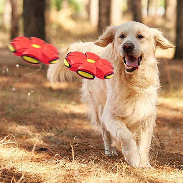 BALLE DE FRISBEE