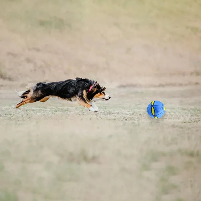 BALLE DE FRISBEE