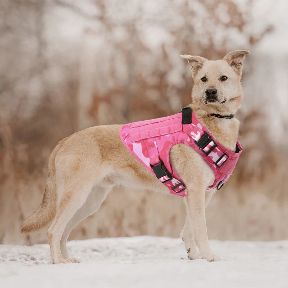 Harnais Pour Chien +Laisse+Collier Rose , grands et moyens chiens