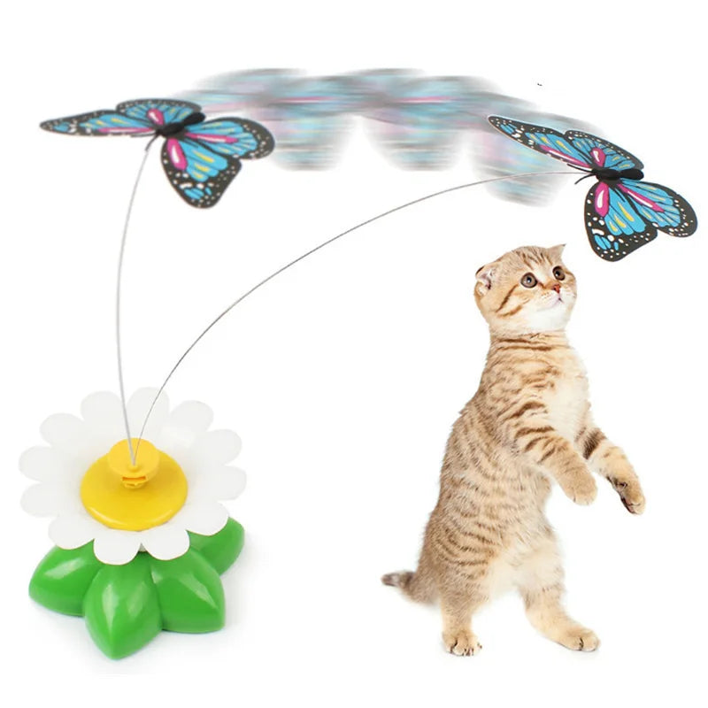 Jouet Interactif Pour Chats