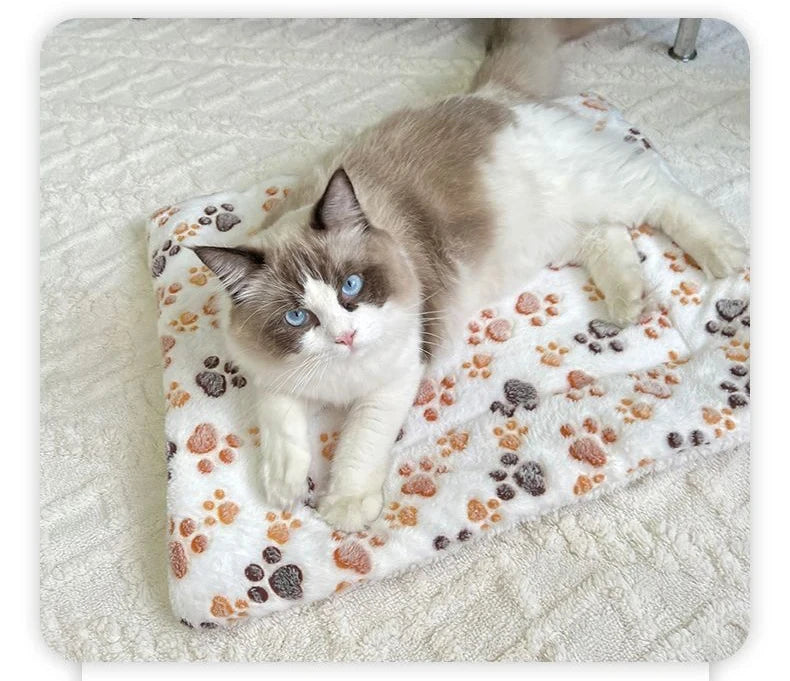 Coussin pour petit et grand chien 49X32 cm