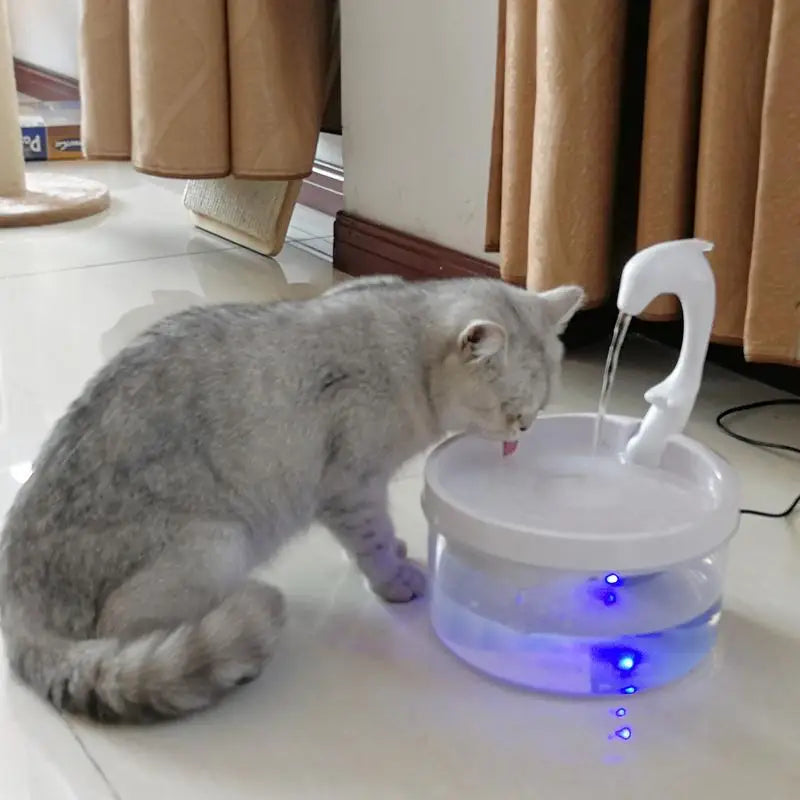 Fontaine Ă Eau Pour Chat