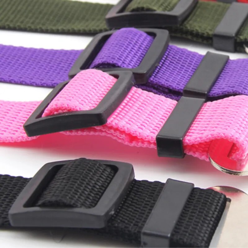 Ceinture De Siège Pour Animal De Compagne