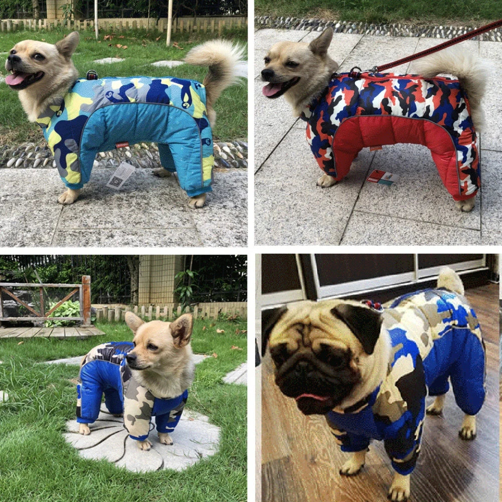 MANTEAU POUR PETITS CHIENS
