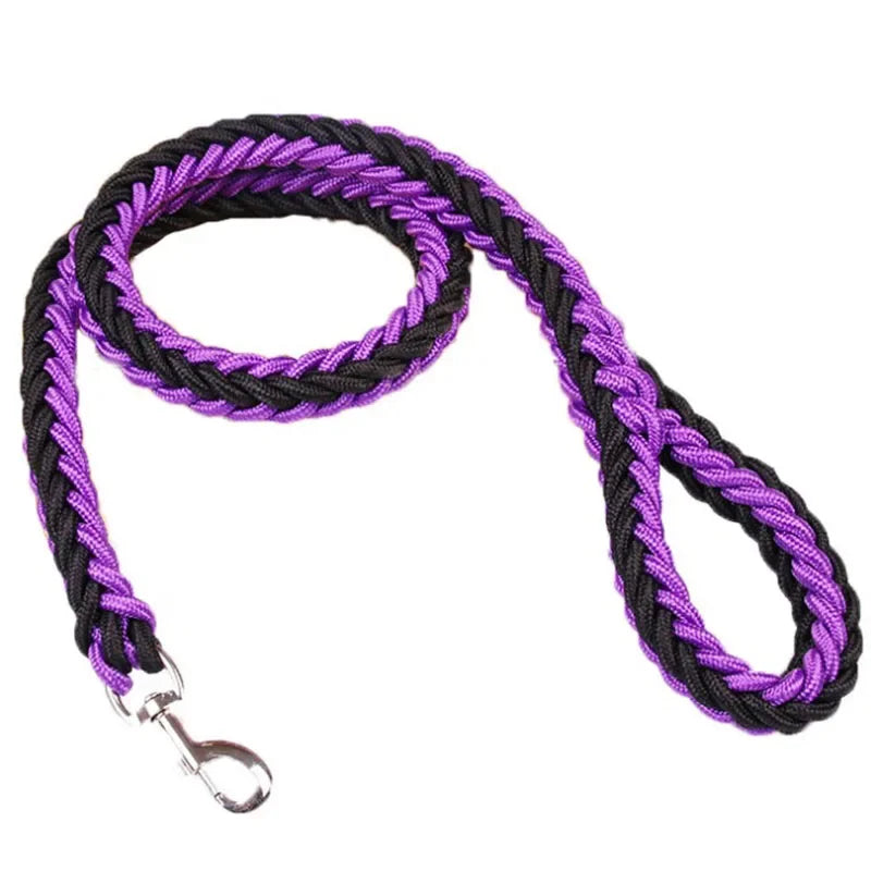 Laisse En Nylon Pour Chien