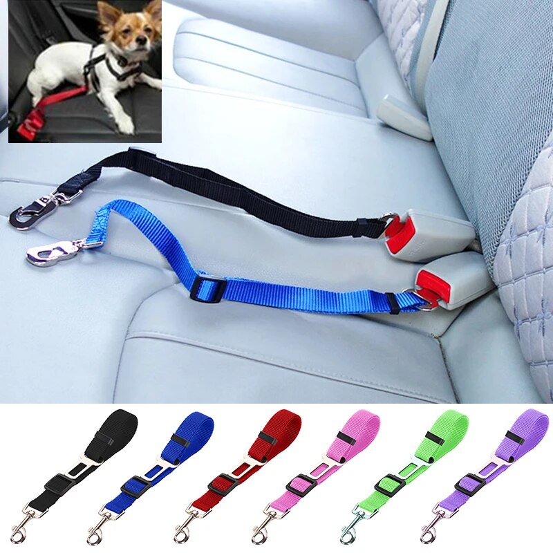 Ceinture De Siège Pour Animal De Compagne