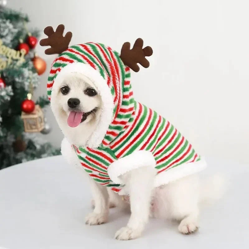 Manteau Sweats à capuche Chiens de Noël Costume