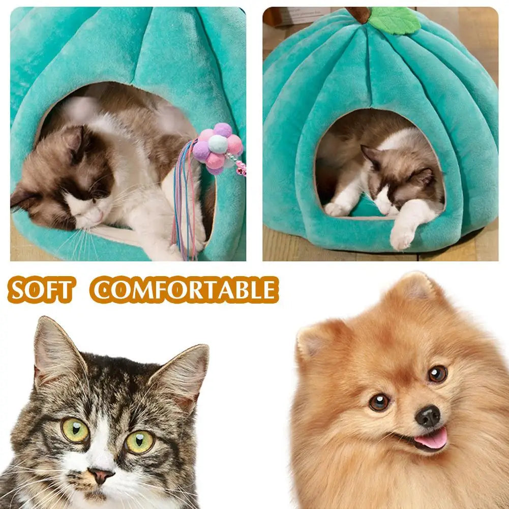 Maison pour Animaux de Compagnie, Coton