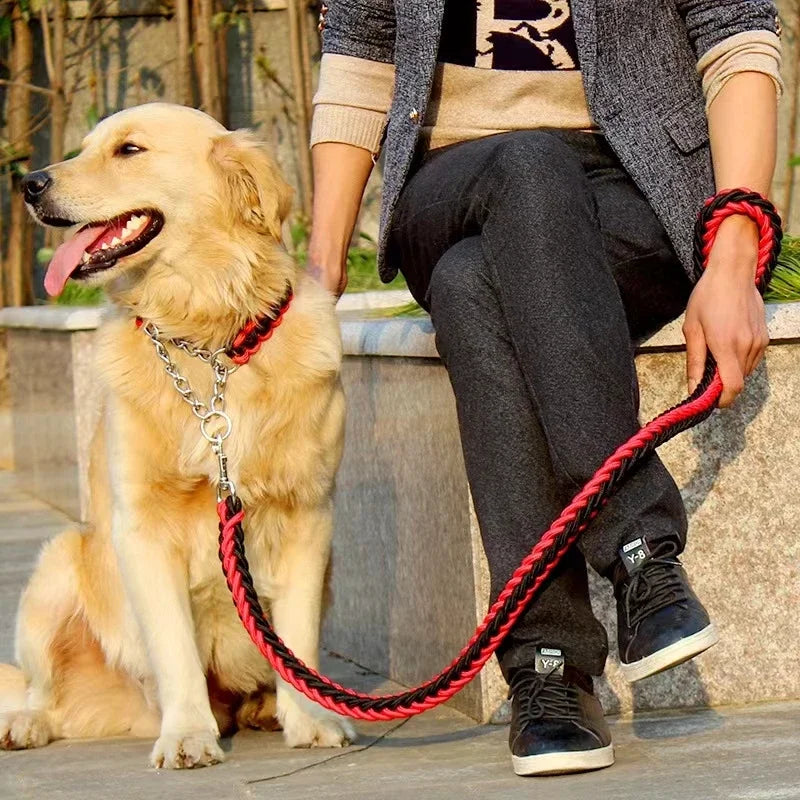 Laisse En Nylon Pour Chien