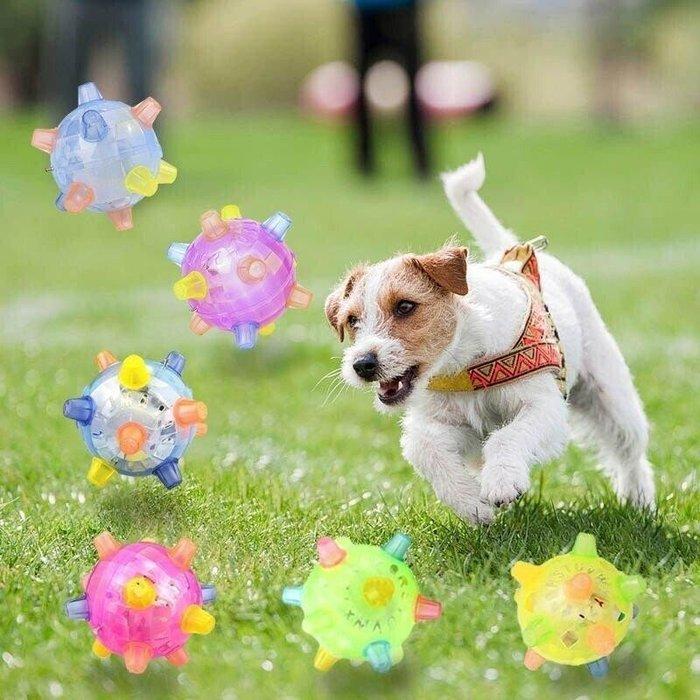 balle-pour-chien-interactive-aleatoire