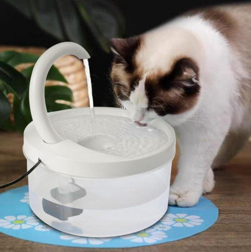 Fontaine Ă Eau Pour Chat
