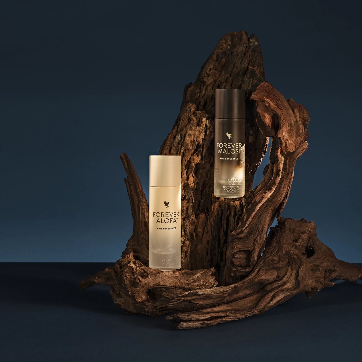 Forever Malosi - Parfum pour lui
