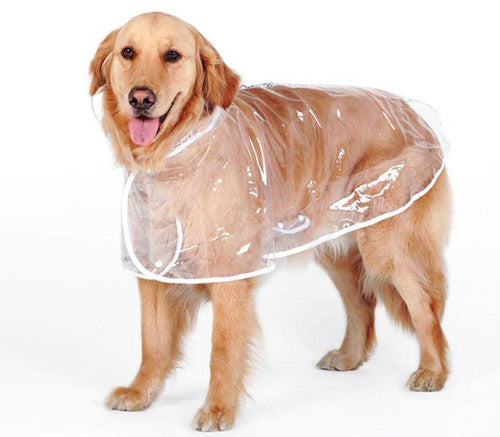 Imperméable Transparent Pour Chien
