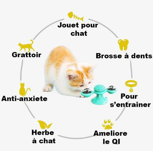 Jouet pour chat interactif