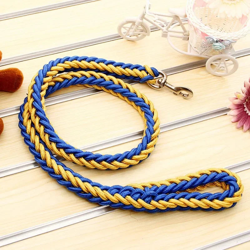 laisse-en-nylon-pour-chien-jaune-noir-fort-practique