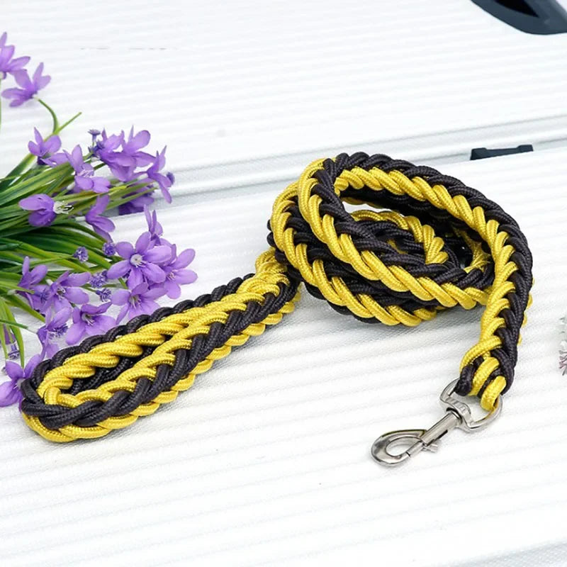 laisse-en-nylon-pour-chien-jaune-noir