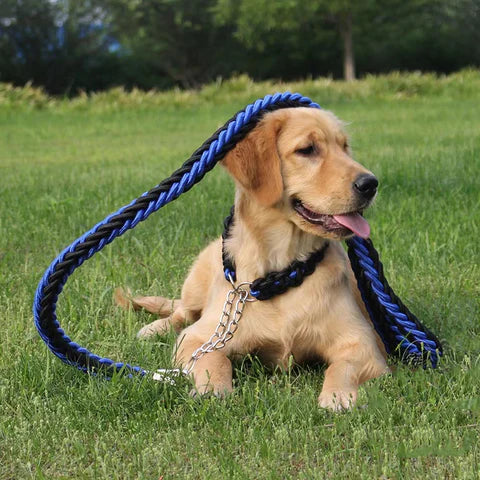 laisse-en-nylon-pour-chien-noir-fort-practique-blue