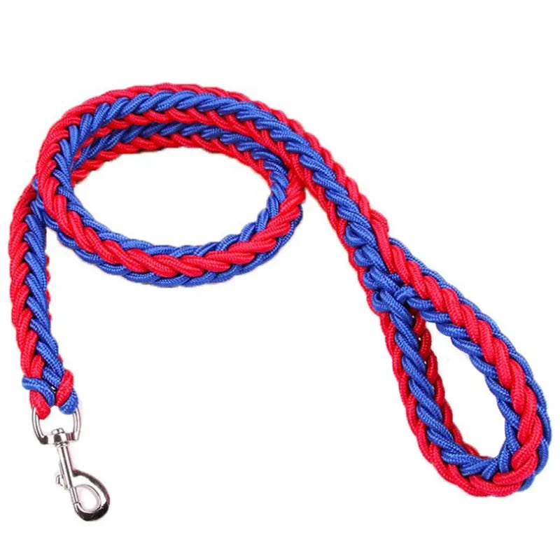 laisse-en-nylon-pour-chien-rose-noir