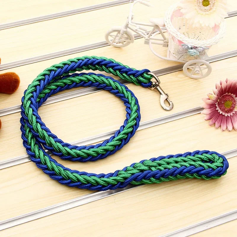 laisse-en-nylon-pour-chien-vert-noir-fort-practique