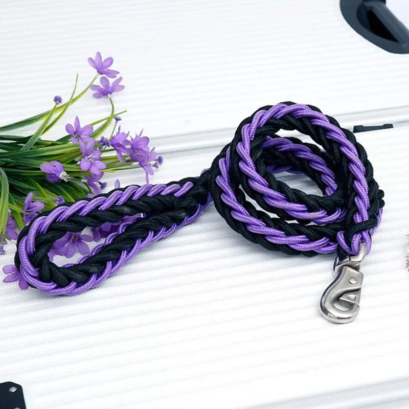 laisse-en-nylon-pour-chien-violet-noir-fort-practique