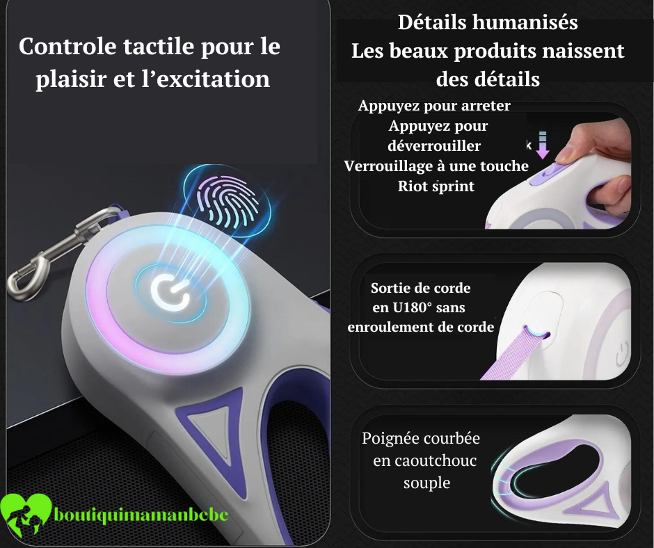 laisse-pour-chien-fort