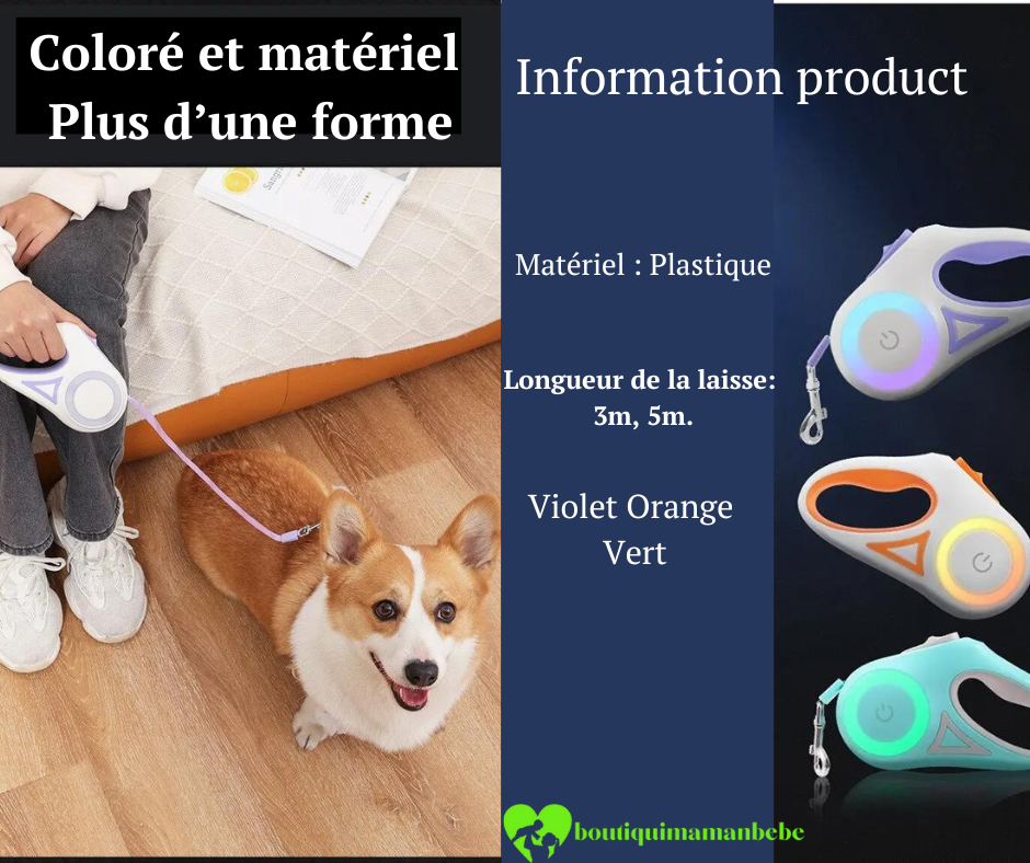 laisse-pour-chien-led