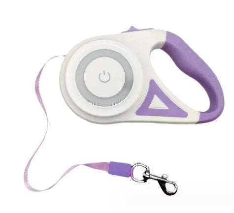 laisse-pour-chien-violet-led