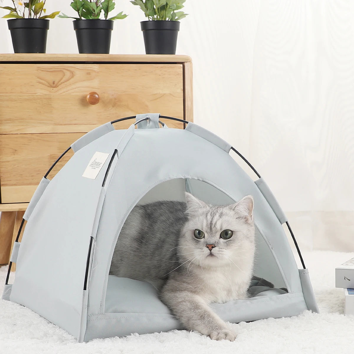 maison-pour-chat-gris-claire