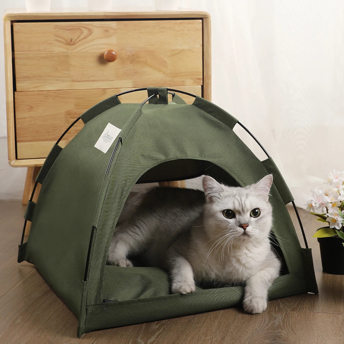 maison-pour-chat-vert