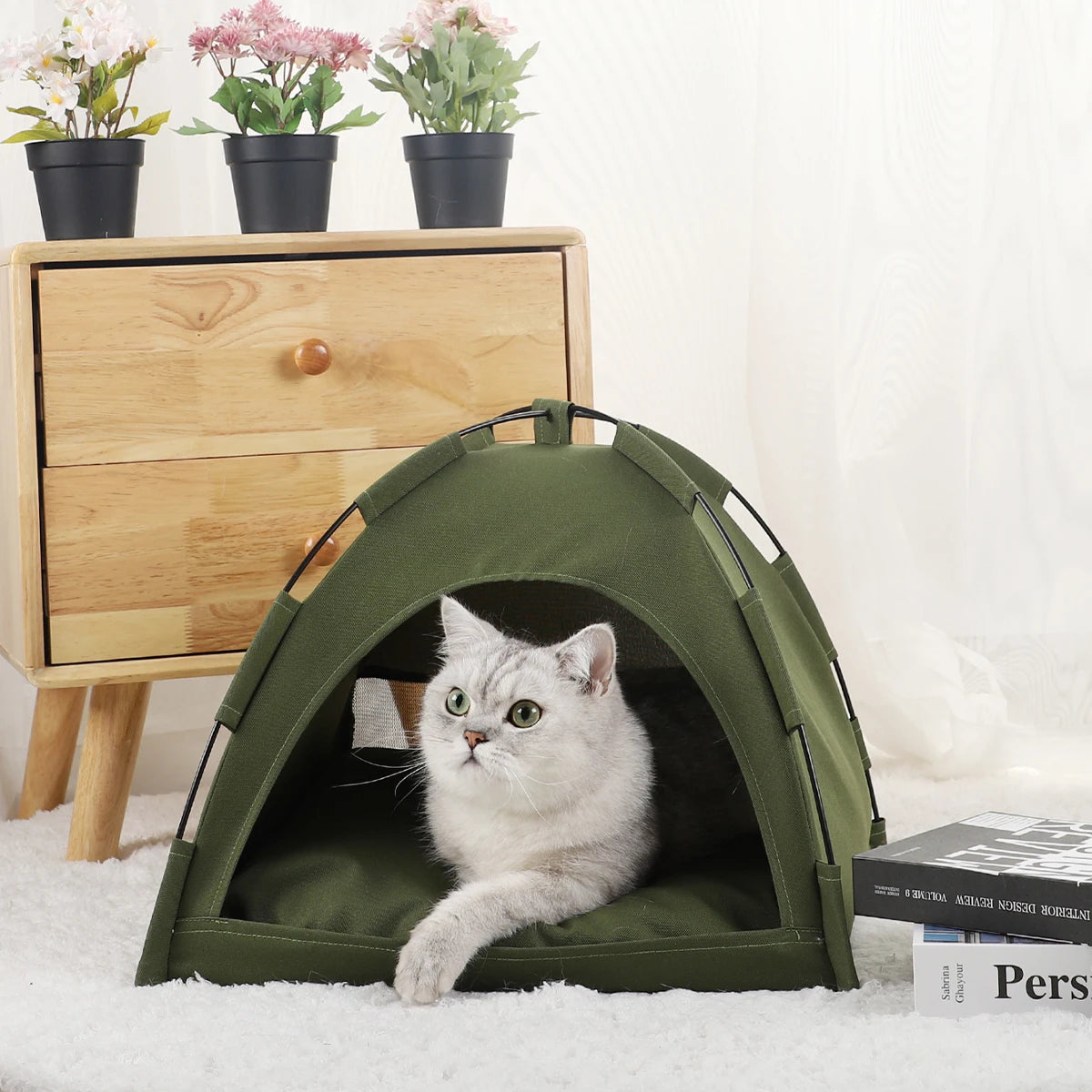 maison-pour-chat