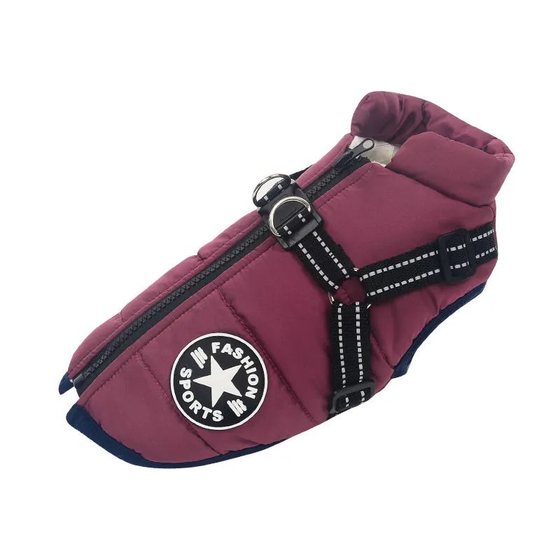 manteau-dhiver-a-fermeture-eclair-pour-chiens-violet