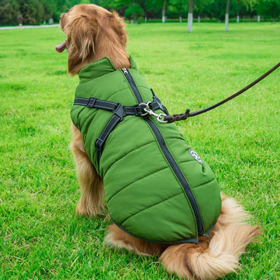 manteau-pour-chien-cadeaux-gratuit-ceinture-de-securie-vert