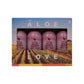 4-Pack - Forever Aloe Berry Nectar