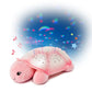 Tortue Lumières LED