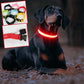 COLLIER DE CHIEN LUMINEUX LED