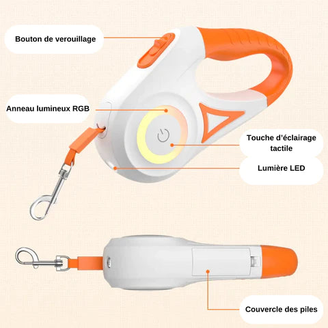 LAISSE RÉTRACTABLE AUTOMATIQUE 5M, POUR CHIEN, LED LUMINEUSE.