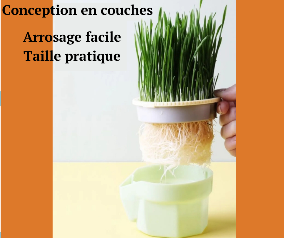 TASSE DE CULTURE HERBES A CHAT