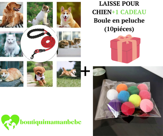 LAISSE POUR CHIEN + 1 CADEAU BOULES EN PELUCHE ( 10 pièces )