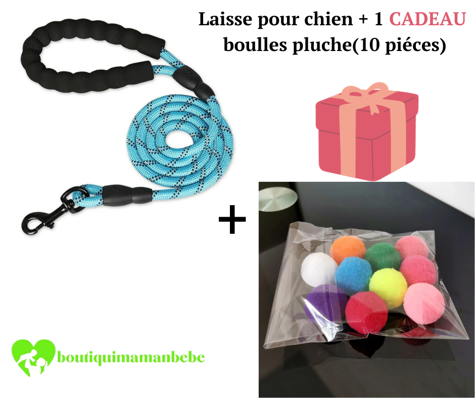 LAISSE POUR CHIEN + 1 CADEAU BOULES EN PELUCHE ( 10 pièces )