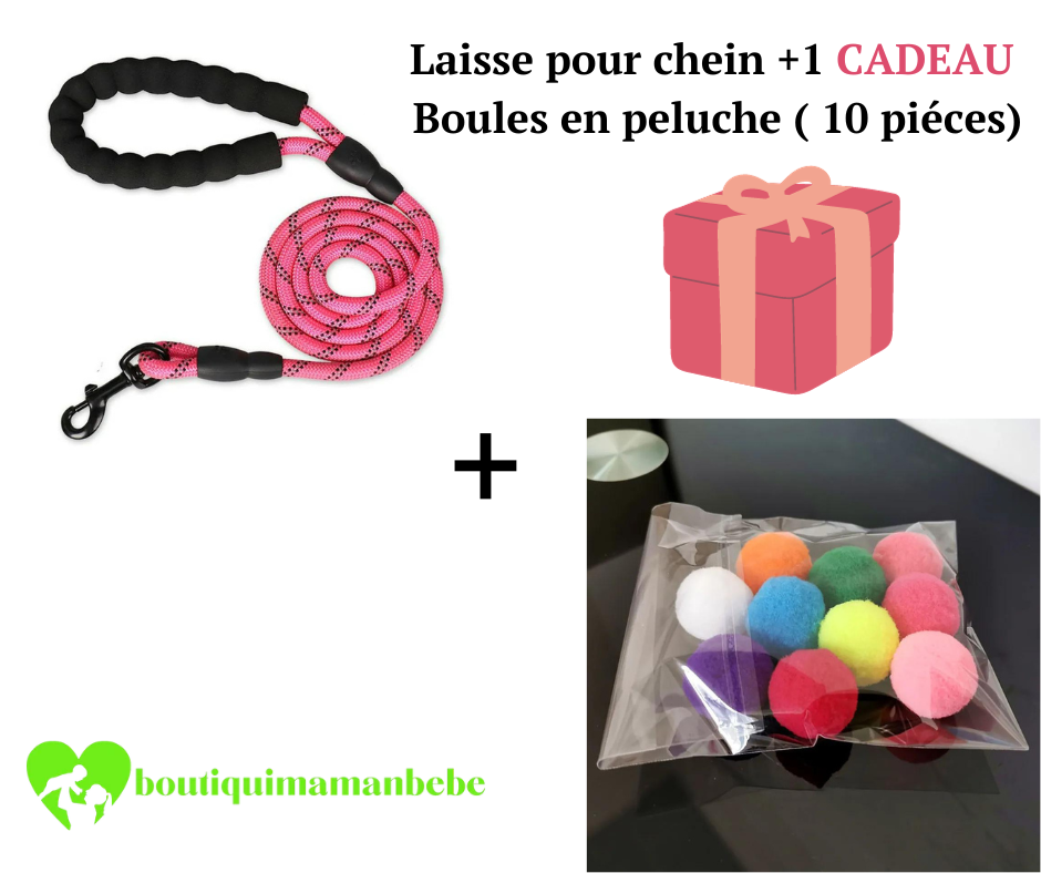 LAISSE POUR CHIEN + 1 CADEAU BOULES EN PELUCHE ( 10 pièces )