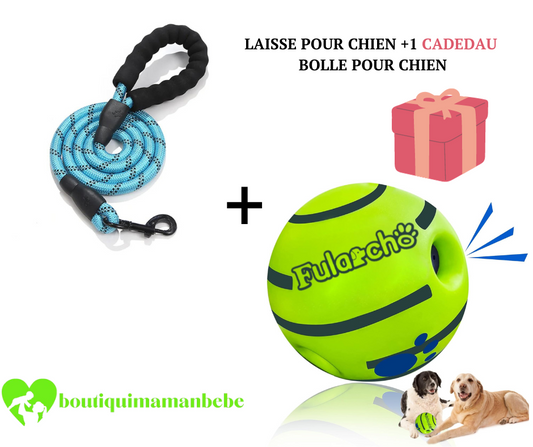 LAISSE POUR CHIEN+ BOLLE JOUET INTERACTIF POUR CHIEN