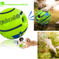 LAISSE POUR CHIEN+ BOLLE JOUET INTERACTIF POUR CHIEN